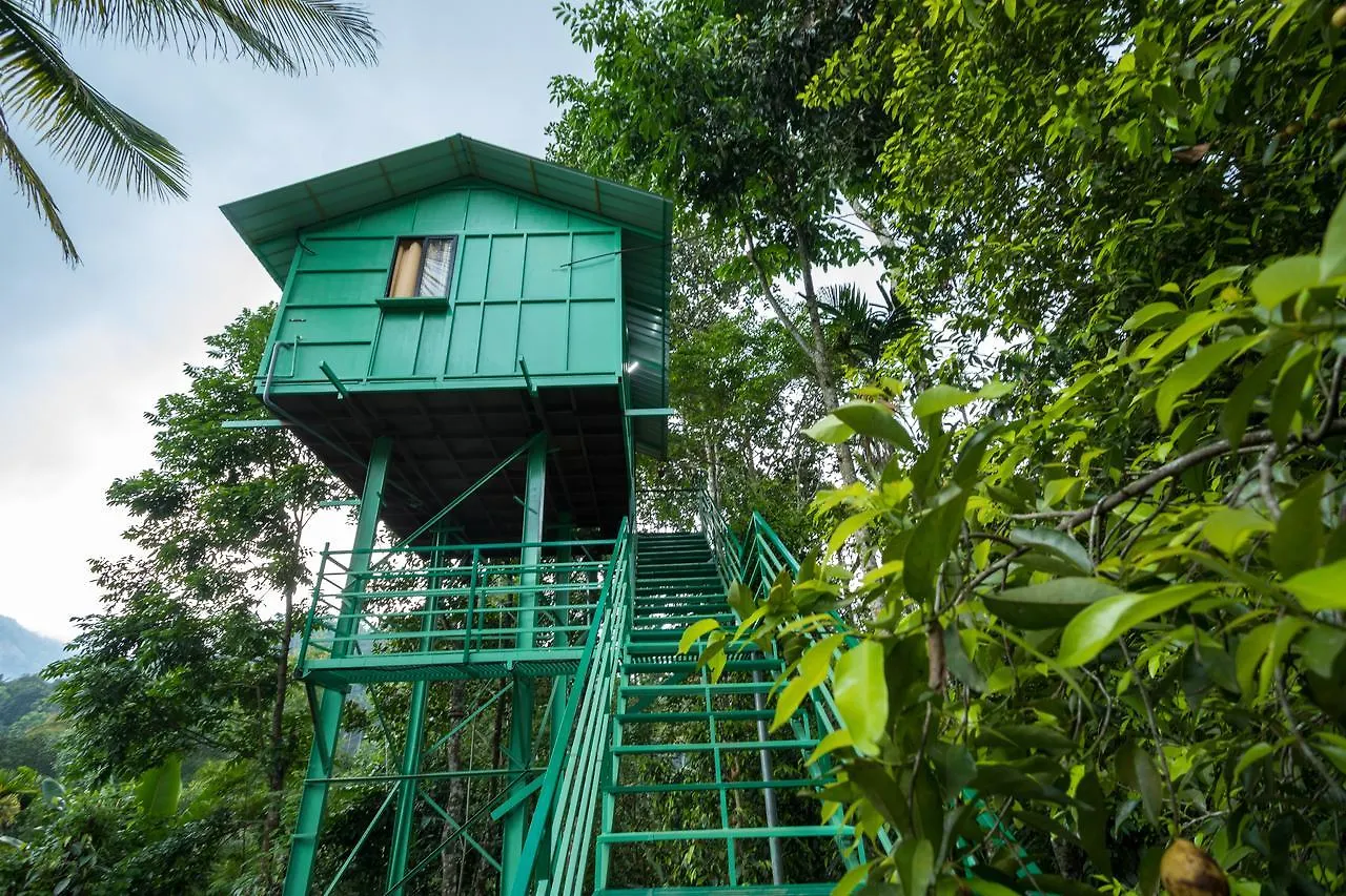 The Wayside Cottage Munnar Séjour à la ferme
