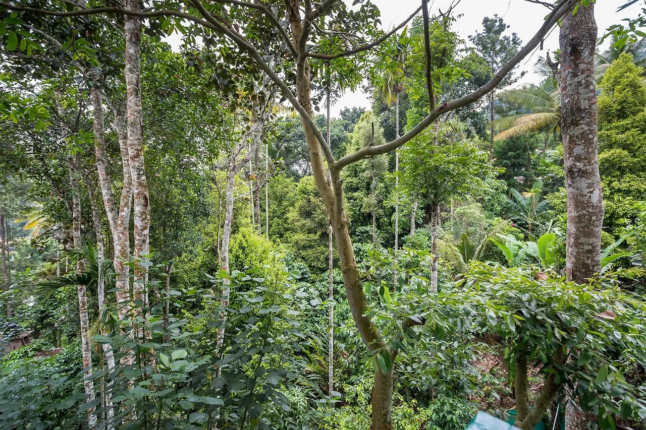 The Wayside Cottage Munnar Inde