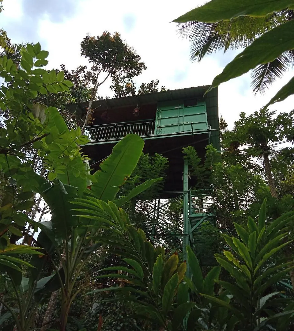 Séjour à la ferme The Wayside Cottage Munnar