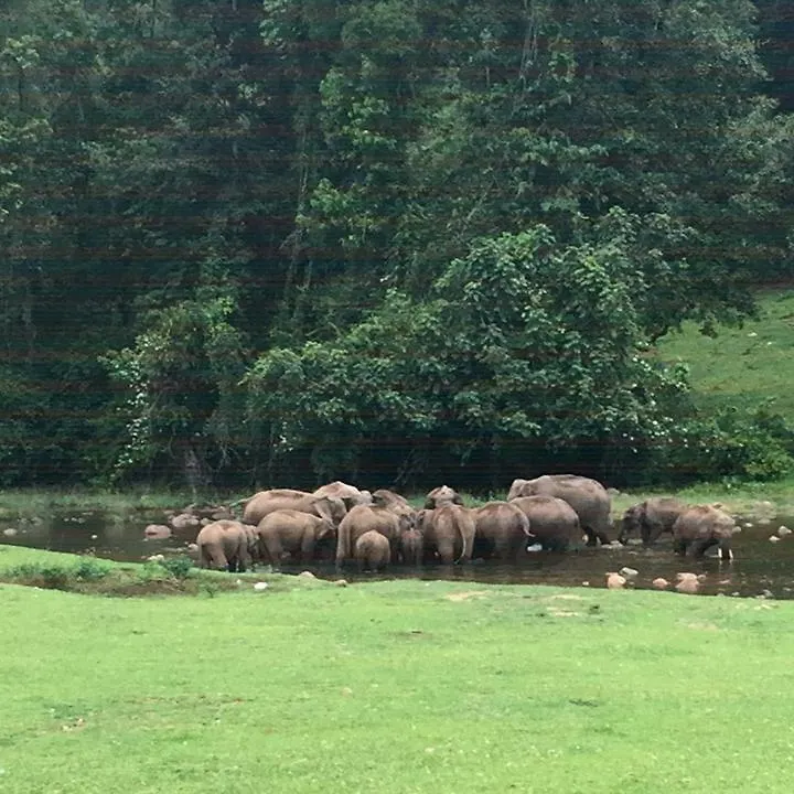 The Wayside Cottage Munnar 0*,  Inde