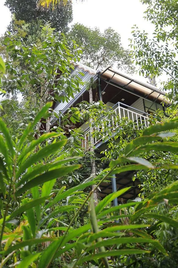 The Wayside Cottage Munnar 0*,