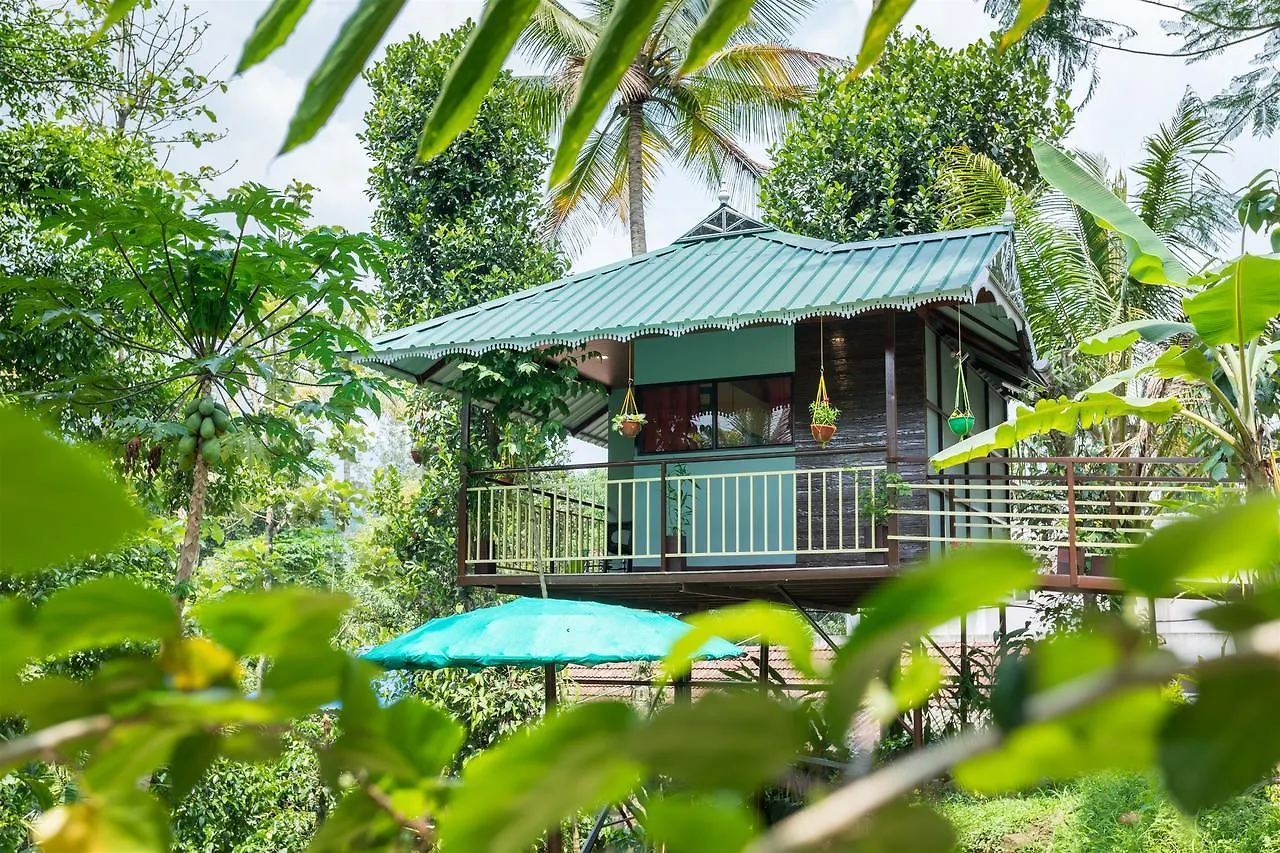 The Wayside Cottage Munnar