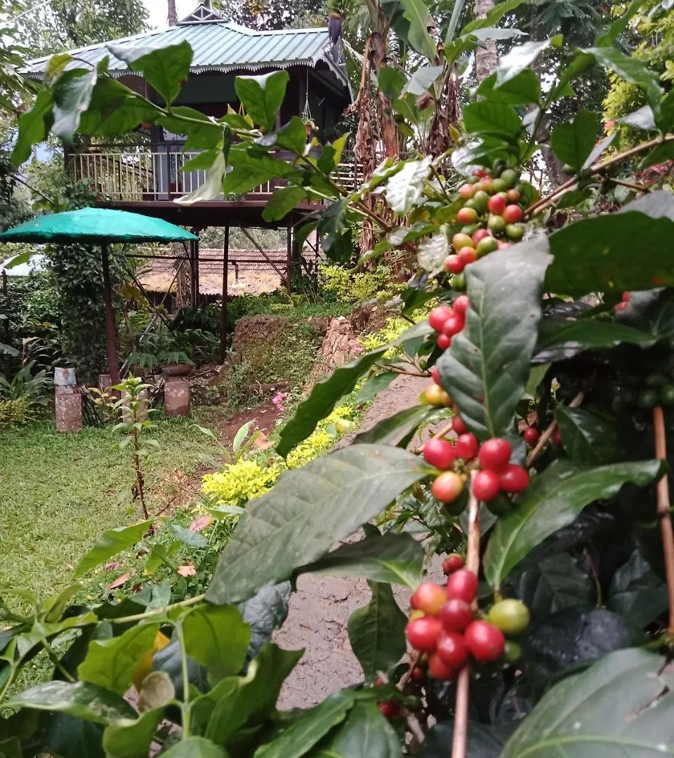 The Wayside Cottage Munnar