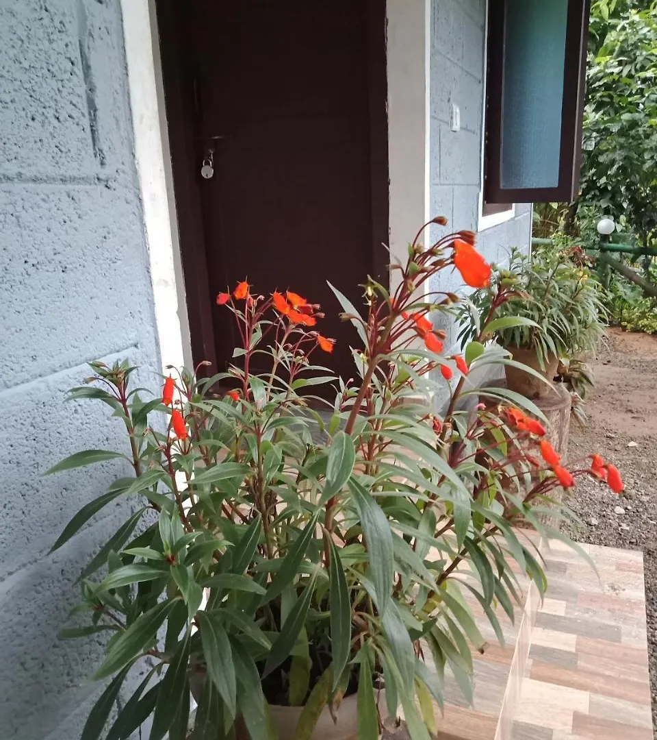 The Wayside Cottage Munnar Indien