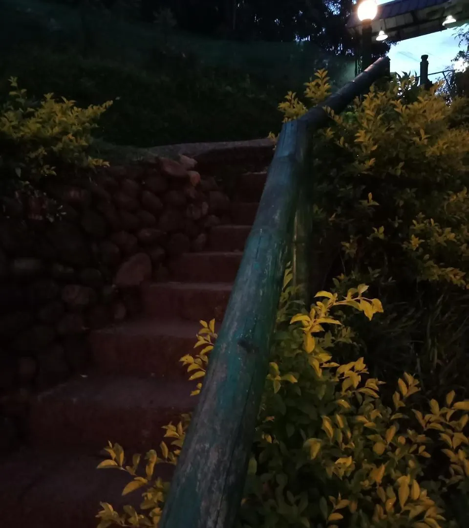 Farma The Wayside Cottage Munnar Indie